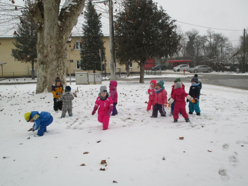 na snegu jan 2016 005