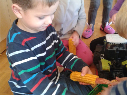 igra s koruzo feb 2016 003