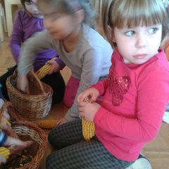 igra s koruzo feb 2016 006