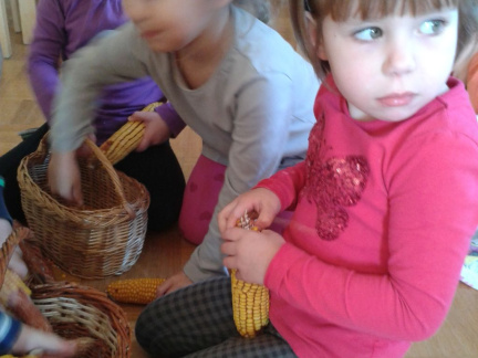 igra s koruzo feb 2016 006