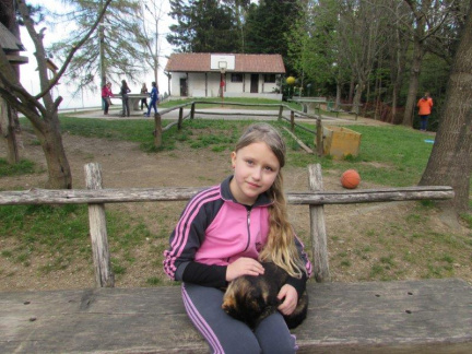 IMG 1452