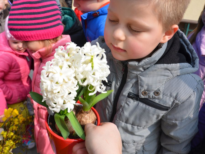 pomlad apr 2016 006