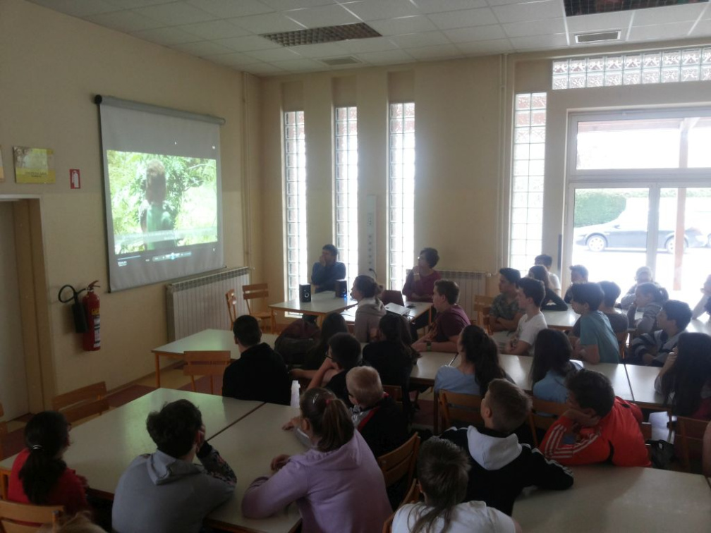 igre z zogo maj 2016 005