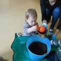 DSCN2984