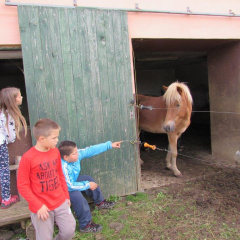 IMG 3007