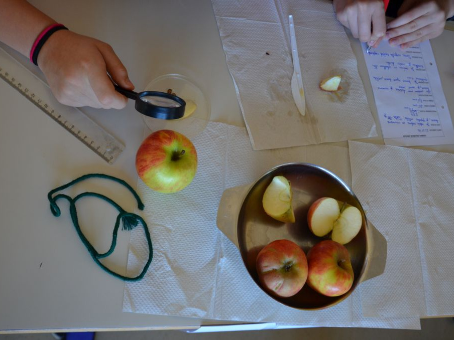 tradicionalni slo zajtrk 2016 094
