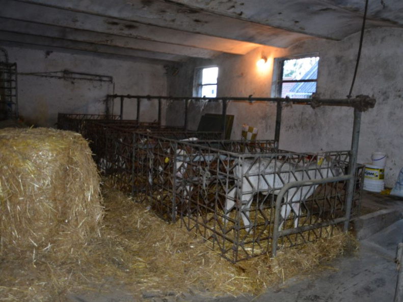 obisk kmetije nov 2016 006