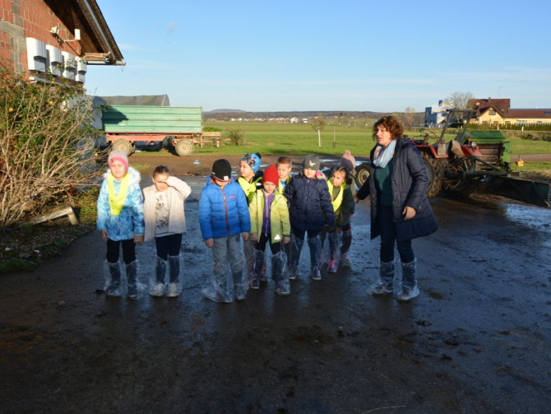 obisk kmetije nov 2016 018