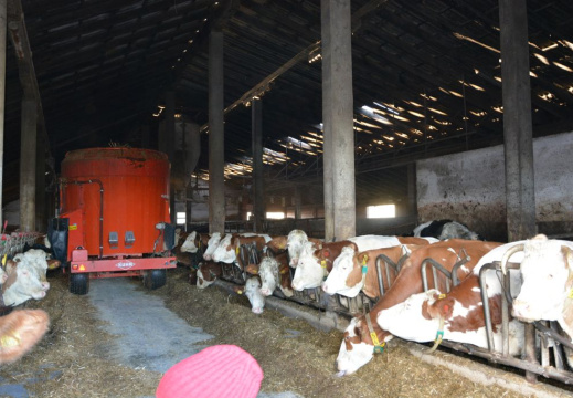 obisk kmetije nov 2016 021