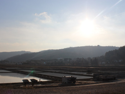 CŠOD Burja moj fotoaparat 1452