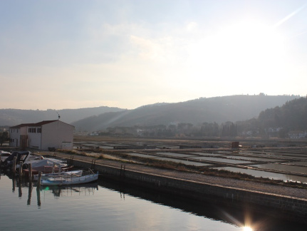 CŠOD Burja moj fotoaparat 1458