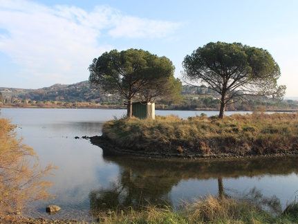 CŠOD Burja moj fotoaparat 1466