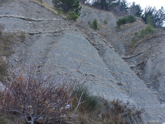 CŠOD Burja moj fotoaparat 1542