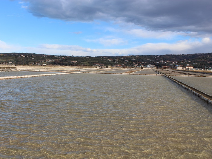 CŠOD Burja 3.den 042