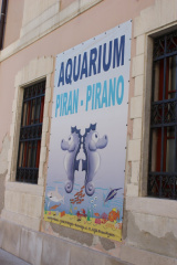 Pred akvarijem v Piranu