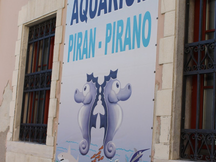 Pred akvarijem v Piranu