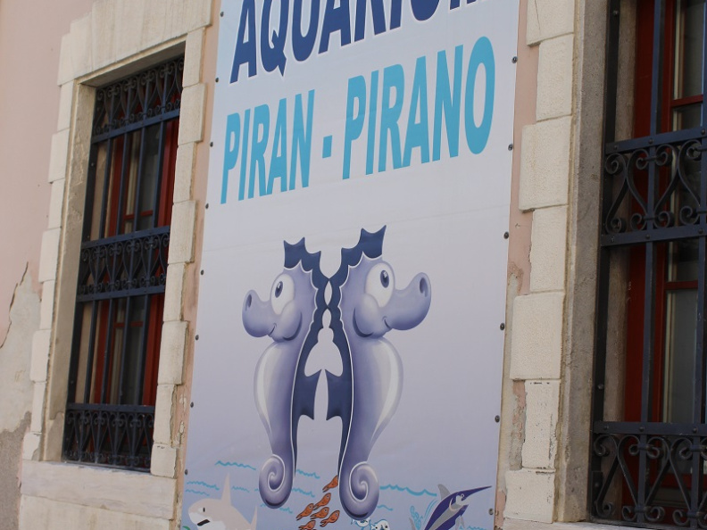 Pred akvarijem v Piranu