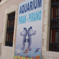 Pred akvarijem v Piranu.JPG