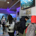 Samostojni ogled akvarija v Piranu.JPG