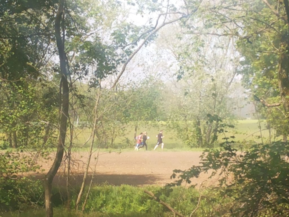 orientacija maj 2017 15