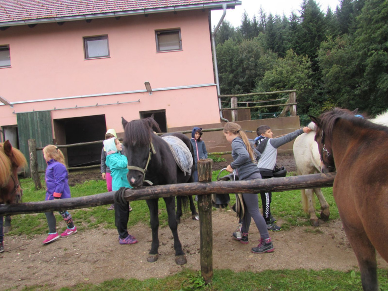 CSOD Skorpijon 5d sep 2017 12