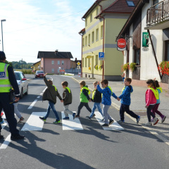 DAN BREZ AVTOMOBILA 2017 11