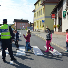 DAN BREZ AVTOMOBILA 2017 15