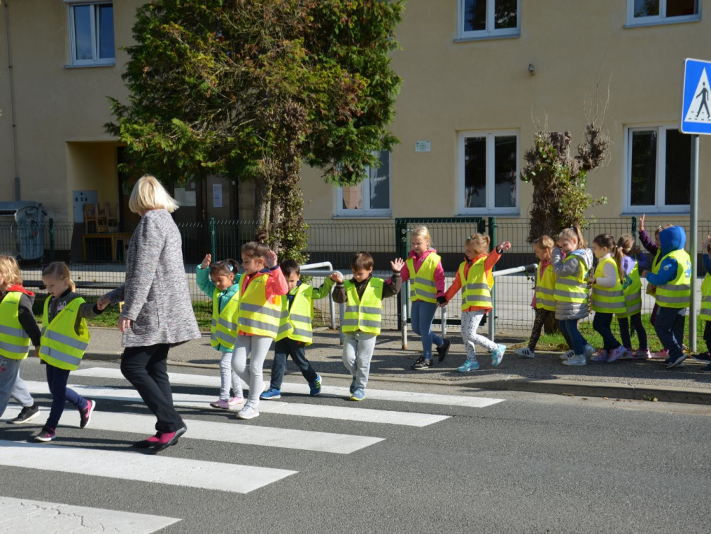 DAN BREZ AVTOMOBILA 2017 19