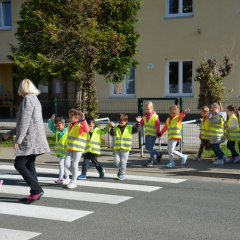 DAN BREZ AVTOMOBILA 2017 19