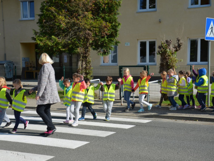 DAN BREZ AVTOMOBILA 2017 19