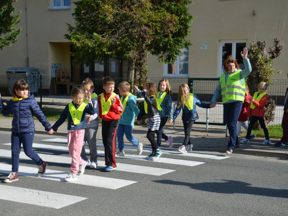 DAN BREZ AVTOMOBILA 2017 20