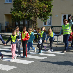 DAN BREZ AVTOMOBILA 2017 20