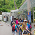 OGLED PREDSEDNIŠKE PALAČE apr 2018050