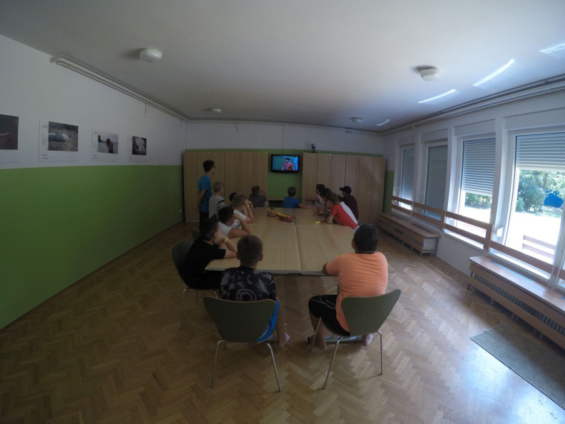 DEBELI RTIČ 3dan018