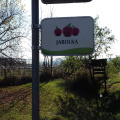 TRADICIONALNI SLOVENSKI ZAJTRKnov 2018003