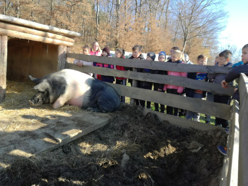 TRADICIONALNI SLOVENSKI ZAJTRK nov 2018012