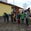 pust sola feb 2019010