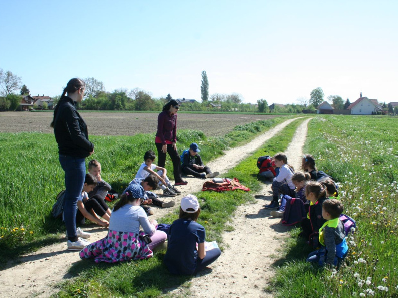 EKO DAN maj 2019003