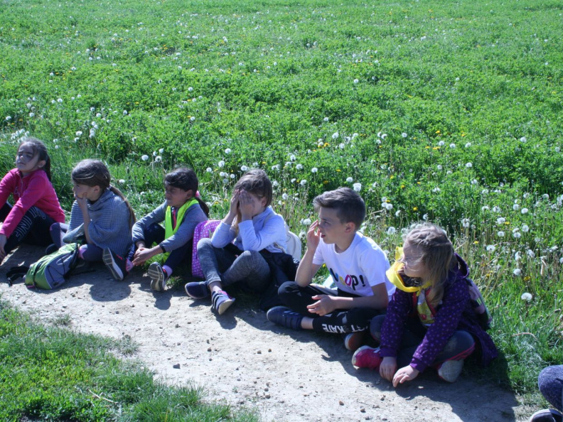 EKO DAN maj 2019012