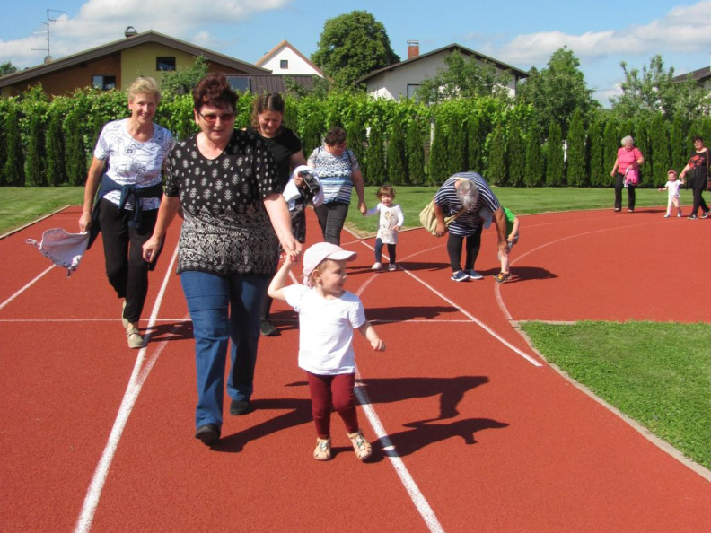SIMBIOZA JEŽKI 2022006