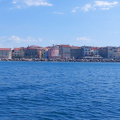 DEBELI RTIČ 2 2022002