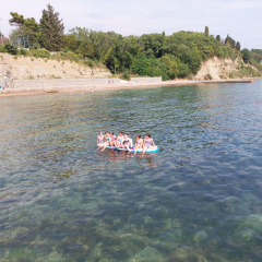 DEBELI RTIČ 4 2022016