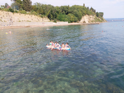 DEBELI RTIČ 4 2022017