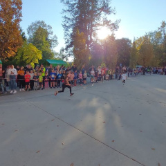56 SPOMINSKI TEK  2022006