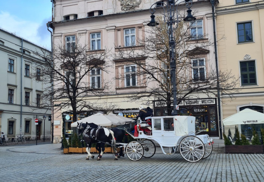 43 Pričakajo nas kočije, kot se za kraljevski grad spodobi