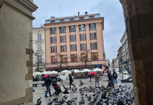 49 Zanimive vedute Krakowa
