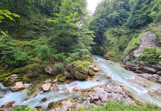 POSOČJE 2023 49