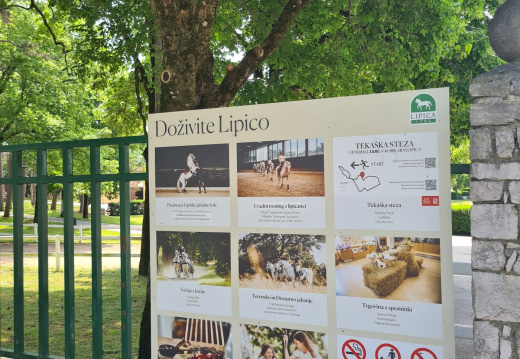 TURIZMU POMAGA LASTNA GLAVA 2025 09
