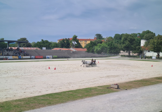 TURIZMU POMAGA LASTNA GLAVA 2025 32