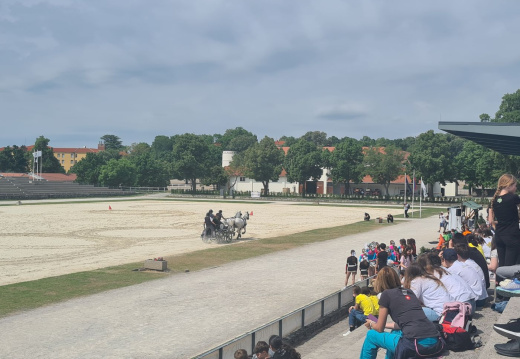 TURIZMU POMAGA LASTNA GLAVA 2025 35